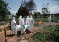 SURTO DE ÉBOLA NA RDC ALASTRA-SE PARA A SEXTA PROVÍNCIA E GERA ALERTA REGIONAL
