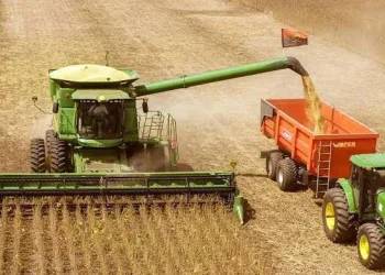 20 MIL HECTARES AGRUPECUÁRIA DE PRODUÇÃO DE GRÃOS